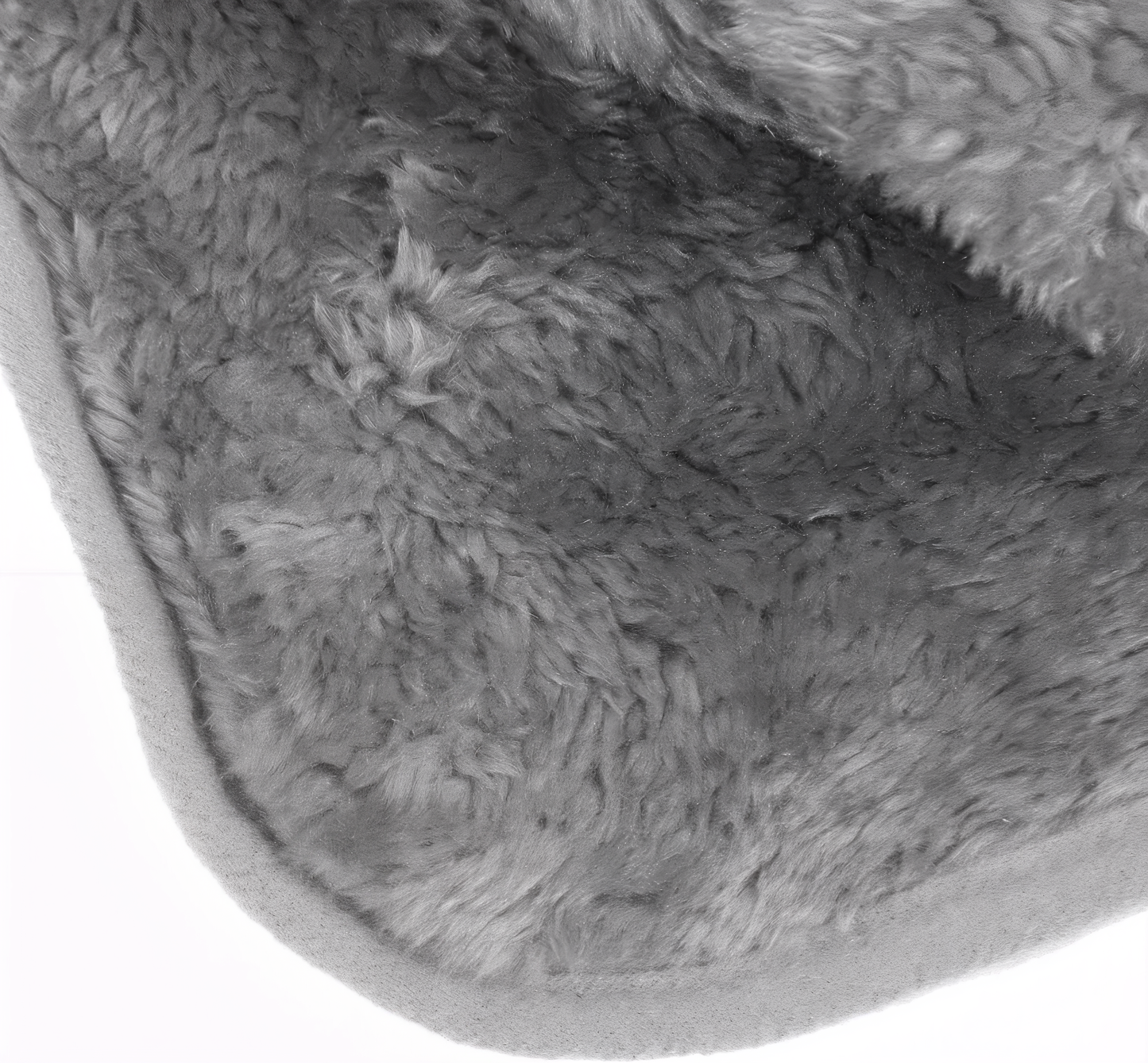 Richest Pet Cat Carrier